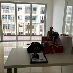 eCO (D16), Condominium #474130541